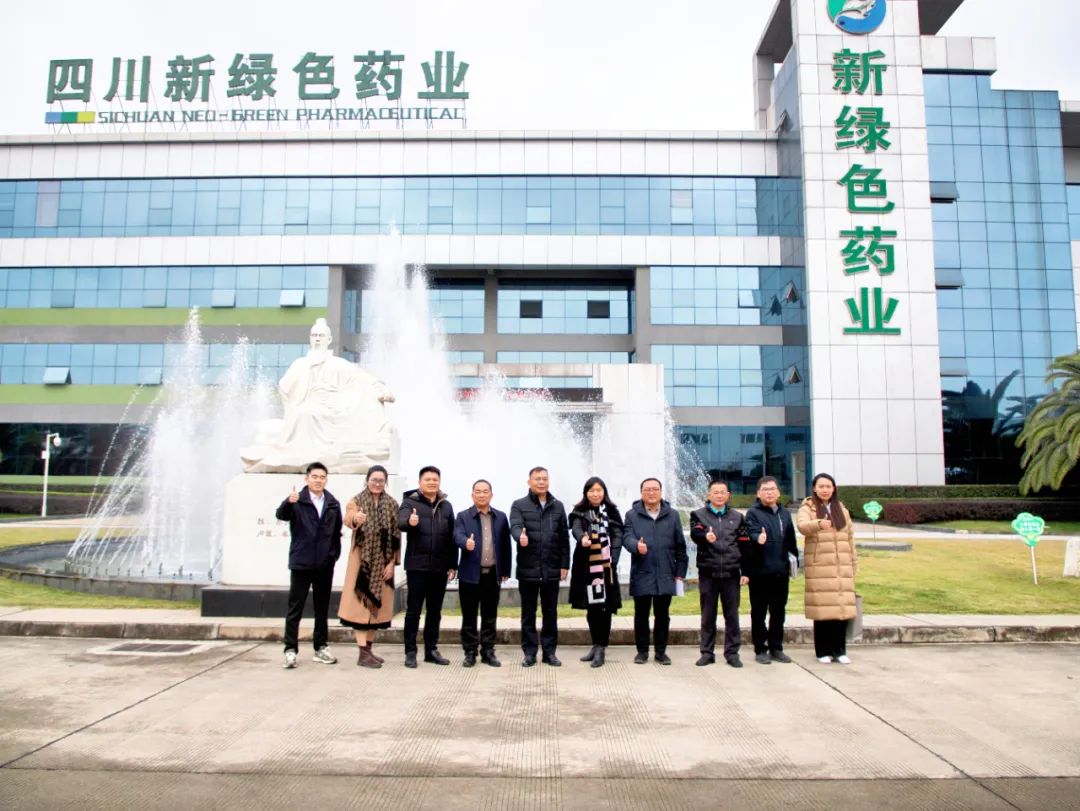 共譜新篇｜陽春市副市長馮幫邢一行蒞臨新綠色藥業(yè)考察調(diào)研